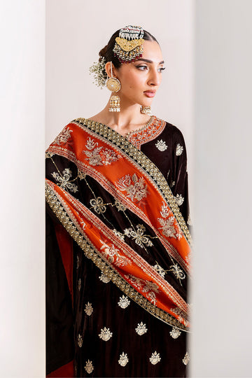 ALIZEH | MAKHMAL - LUXURY VELVET EDIT | AF-VLT-2224-SABAAT