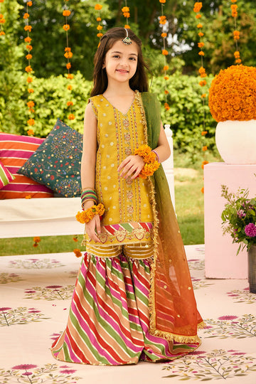 ALIZEH | SHEHNAI - THE FESTIVE EDIT | AFK-ZN-1001-ZARPOSH