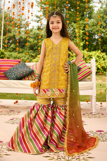 ALIZEH | SHEHNAI - THE FESTIVE EDIT | AFK-ZN-1001-ZARPOSH