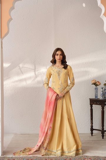 MYSIE BY TAHIRA | FESTIVE'26 | AMILIA