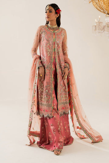 SHUROOQ | FESTIVE | AMTUL