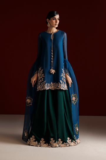 IZNIK | SEMI FORMALS | CC-102 EMBROIDERED CHIFFON