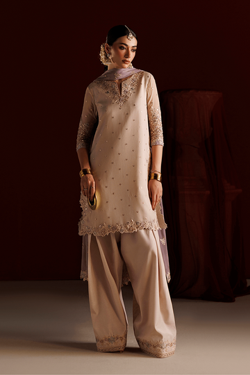 IZNIK | SEMI FORMALS | CC-104 EMBROIDERED CHIFFON