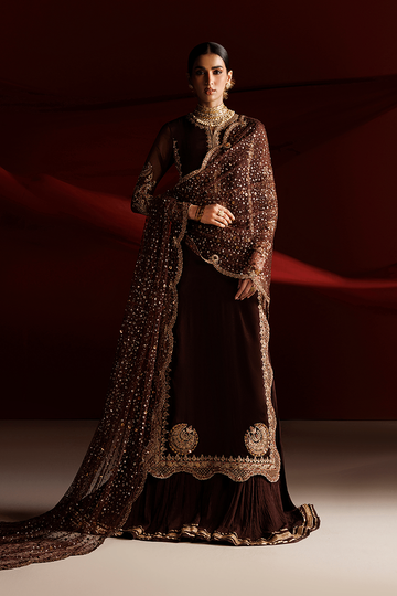 IZNIK | SEMI FORMALS | CC-113 EMBROIDERED CHIFFON