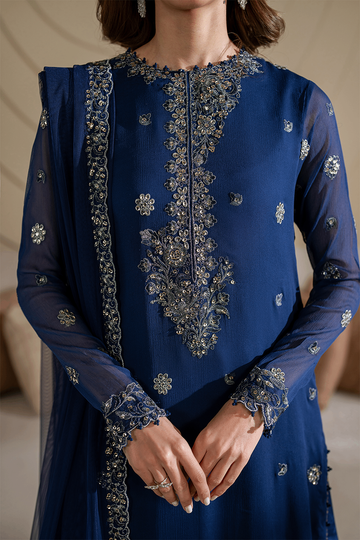 IZNIK | SEMI FORMALS | CC-60 EMBROIDERED NET