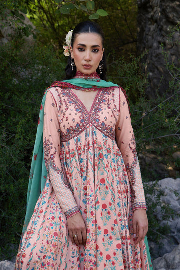 HUSSAIN REHAR | JINAN 26 | CHITLALI