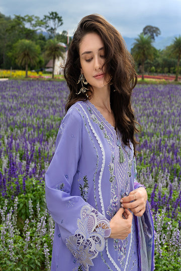 MUSHQ | THE SECRET GARDEN | DAISY REVERIE