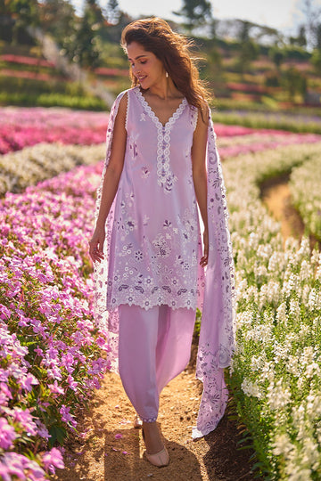 IMAGE | UNSTITCHED | ELYSIA