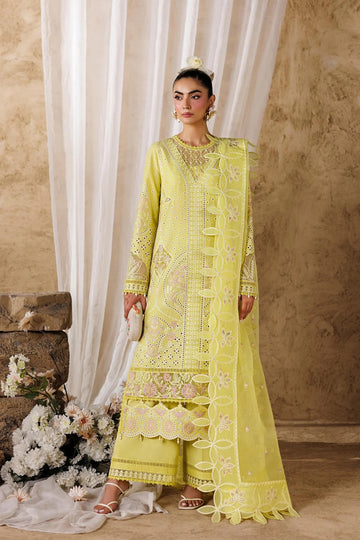 AKBAR ASLAM | ELEA LAWN'26 | FELENE