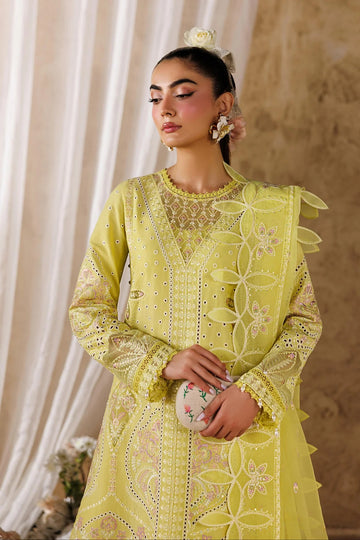 AKBAR ASLAM | ELEA LAWN'26 | FELENE