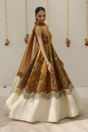 DYOT | FESTIVE 26 | GOLDEN TISSUE ANARKALI