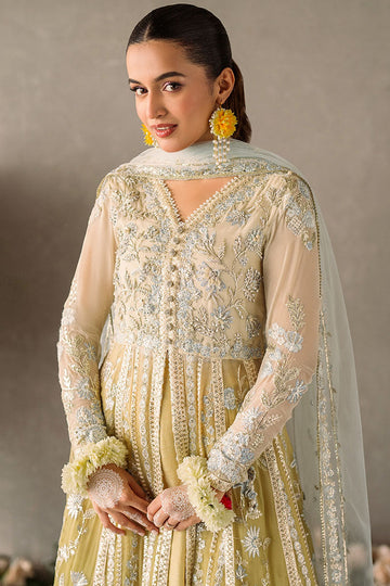 MUSHQ | MASTANI EVENING LUXURY CHIFFON | HIRA