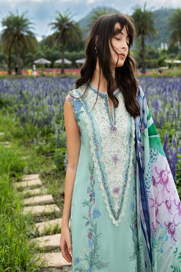 MUSHQ | THE SECRET GARDEN | HUMMINGBIRD HAVEN