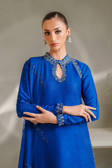 IZNIK | LUXURY PRET | IP-336 EMBROIDERED RAWSILK
