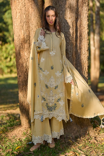 IMAGE | UNSTITCHED | LUMIRA