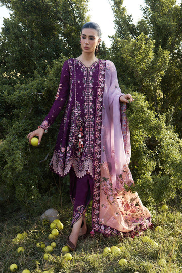 HUSSAIN REHAR | JINAN 26 | LYLA