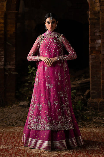 NYRA | WEDDING FESTIVE '25 | MUSHQ