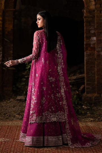 NYRA | WEDDING FESTIVE '25 | MUSHQ