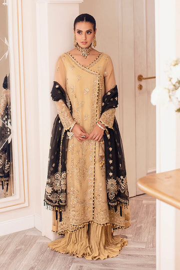 RANG RASIYA | NISHA