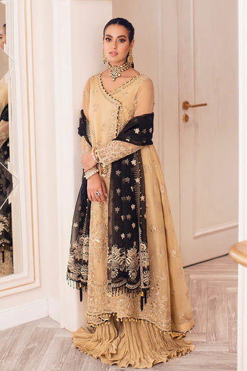 RANG RASIYA | NISHA