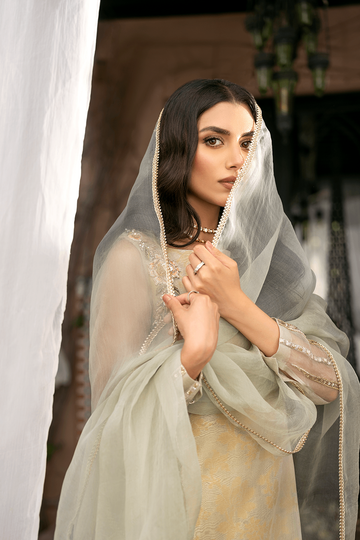 AYESHA & USMAN | OLD GOLD