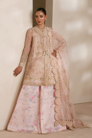 RAJA SALAHUDDIN | AMAL'26 | ORCHID