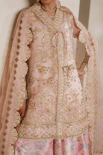 RAJA SALAHUDDIN | AMAL'26 | ORCHID