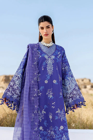 EMAAN ADEEL | SUNLIT GROOVE | PETAL PULSE