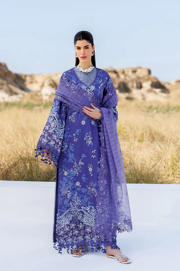 EMAAN ADEEL | SUNLIT GROOVE | PETAL PULSE