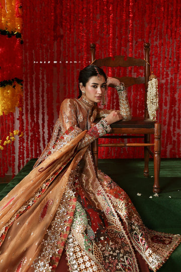 AFROZEH | SHEHNAI WEDDING FORMALS'25 | POSHNA