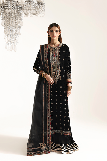 EMAAN ADEEL | ZARPOSH VELVET | RAZIA