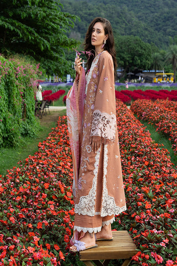 MUSHQ | THE SECRET GARDEN | ROSETTE REVERIE