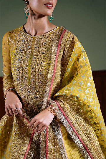 SAIRA RIZWAN | FESTIVE 2024 | SERA-SRF-D-08