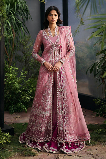 AFROZEH | LA FUCHSIA '25 | SERAIRA