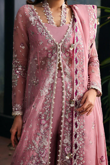 AFROZEH | LA FUCHSIA '25 | SERAIRA