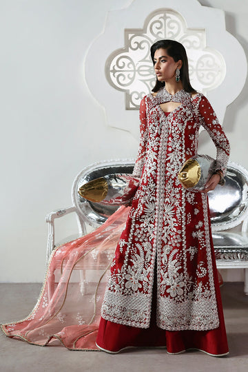 SORAYA | LUMENE FESTIVE 25/26 | SOLARA