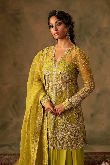 SILLHOUETE | MEERAS | VIRSA (RLF-01)