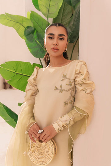 AYESHA & USMAN | YOUNG WHEAT